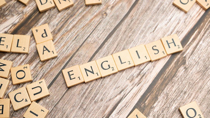 Yabancı Dil ve Teknik Seviye Ölçüm Hizmetleri image